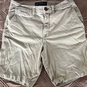 American Eagle Outfitters Tan Flat Front Men’s Shorts